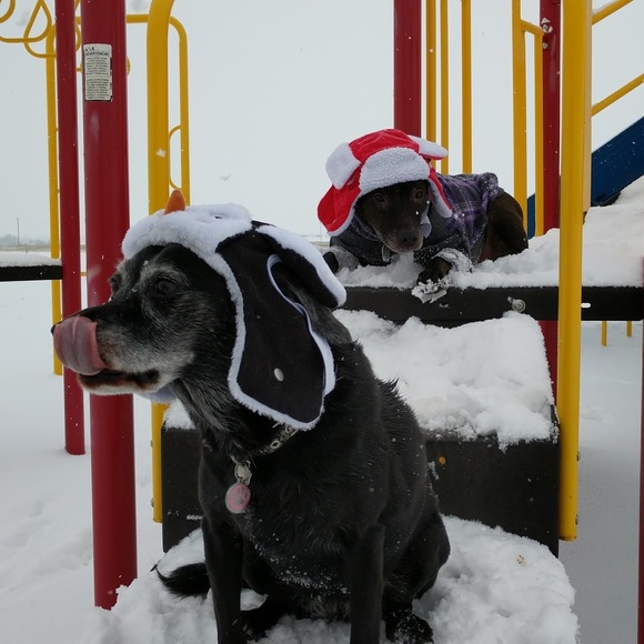 Meet your Posher, Nic - Picture 1 of 1